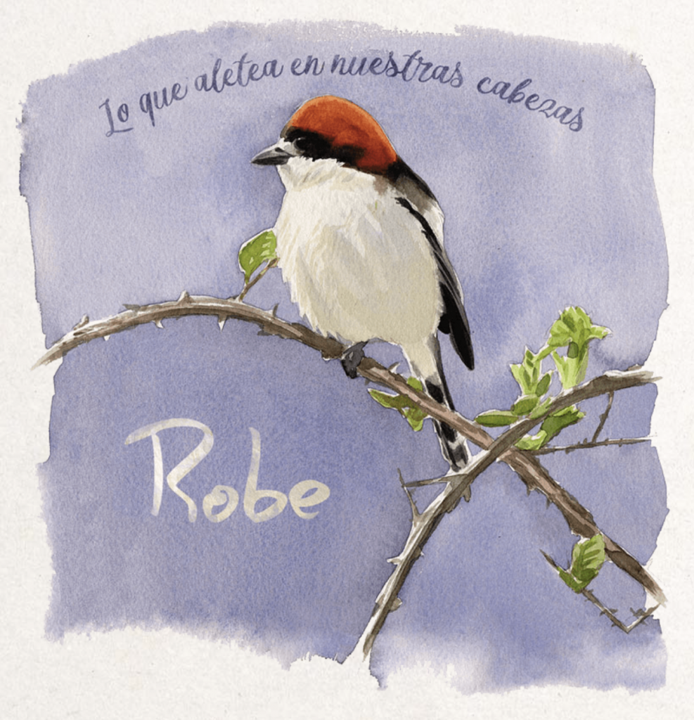 Robe. Lo que aletea en nuestras cabezas