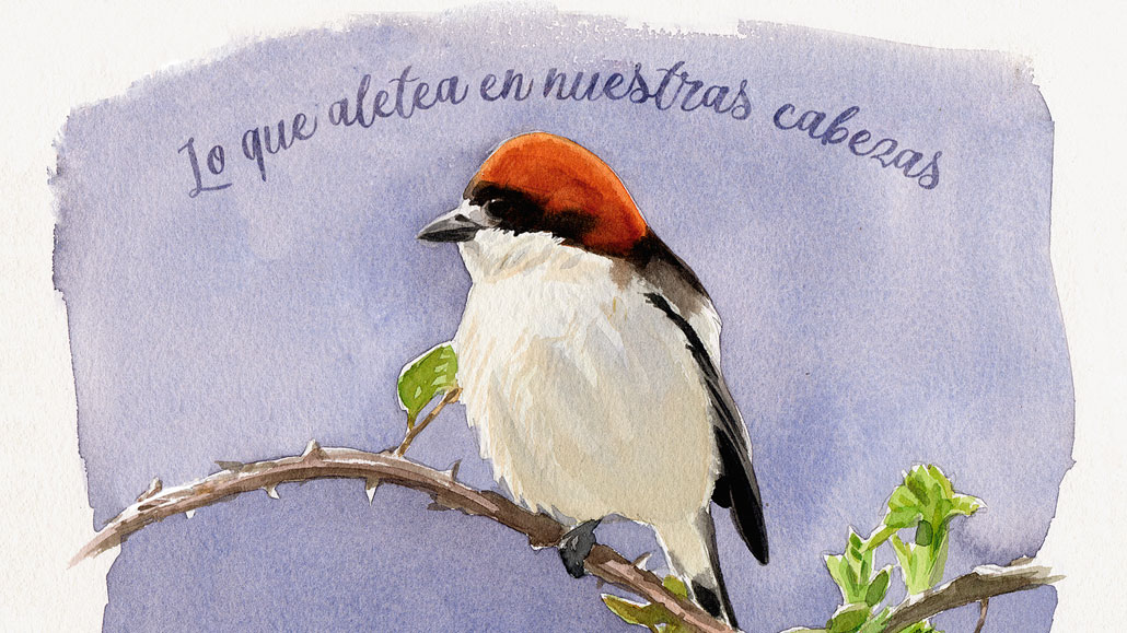 Robe. Lo que aletea en nuestras cabezas