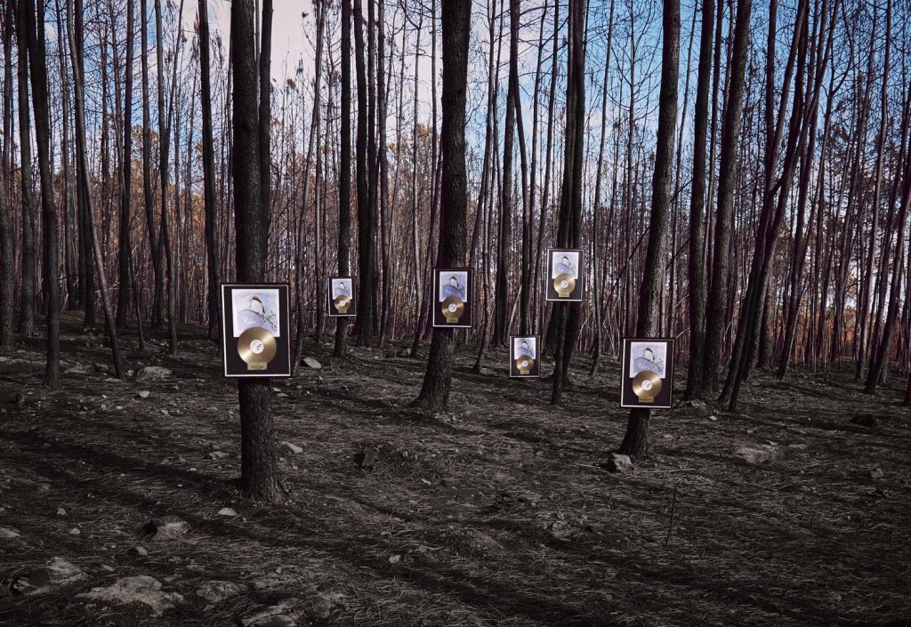 Robe, ya es disco de Oro