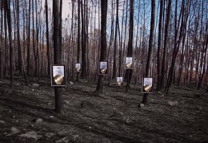 Robe, ya es disco de Oro