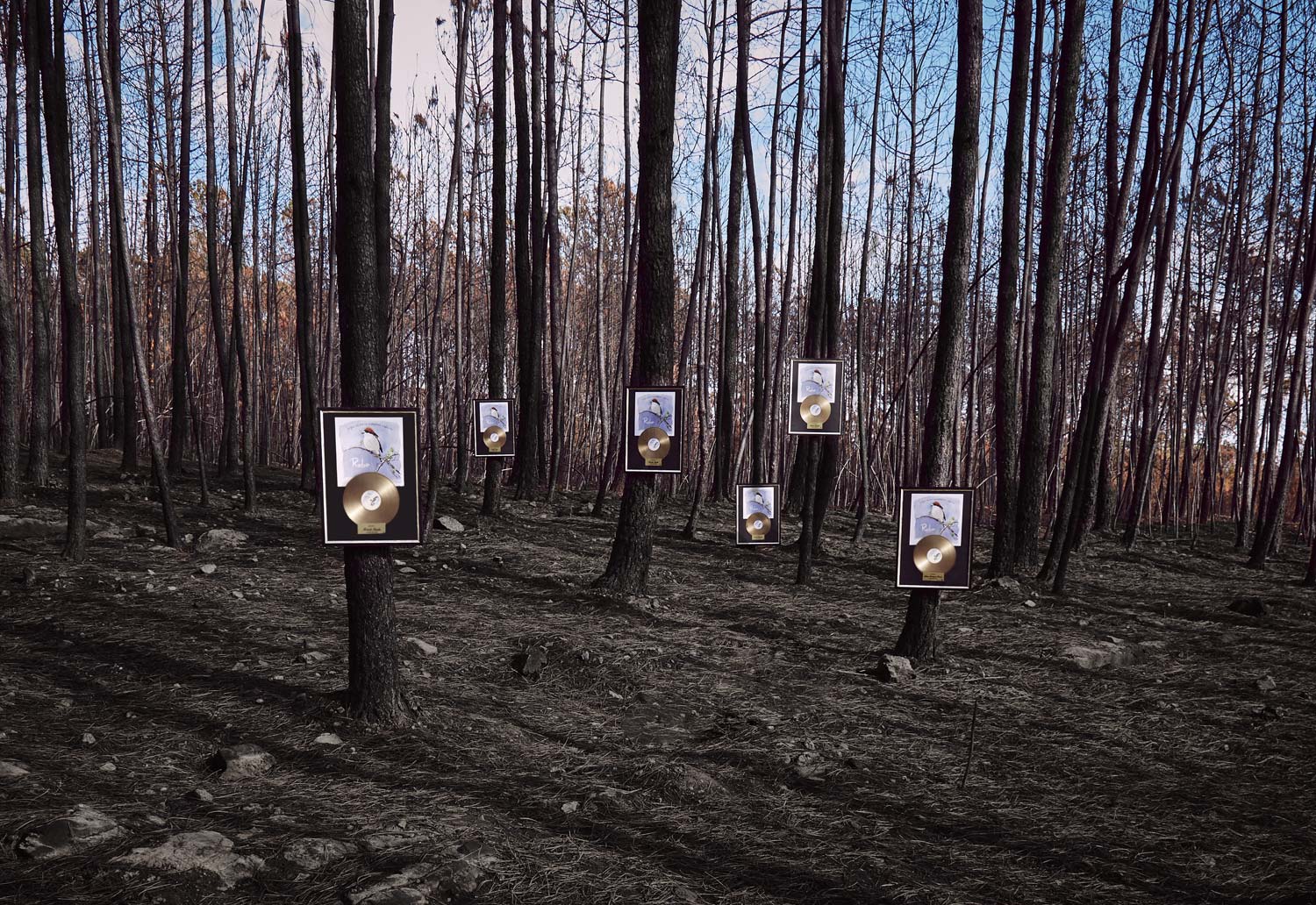 Robe, ya es disco de Oro