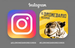 instagram_dromedario